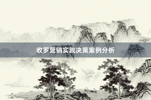 收罗营销实践决策案例分析