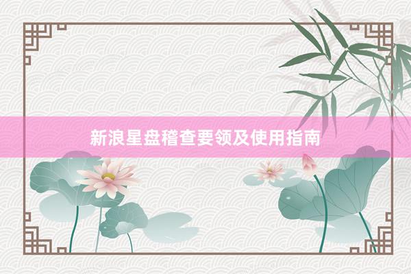 新浪星盘稽查要领及使用指南