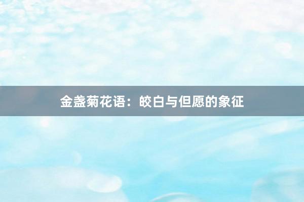 金盏菊花语：皎白与但愿的象征