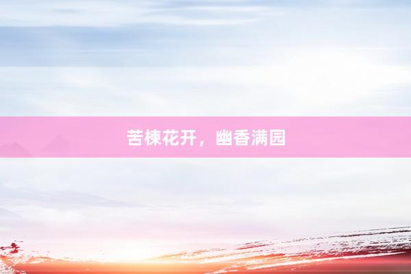 苦楝花开,幽香满园